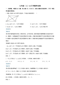 广东省梅州市五校联考2024—2025学年上学期10月月考九年级数学试卷（解析版）-A4