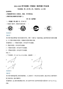 广东省湛江市雷州市第八中学八年级上学期11月期中考试数学试题（解析版）-A4