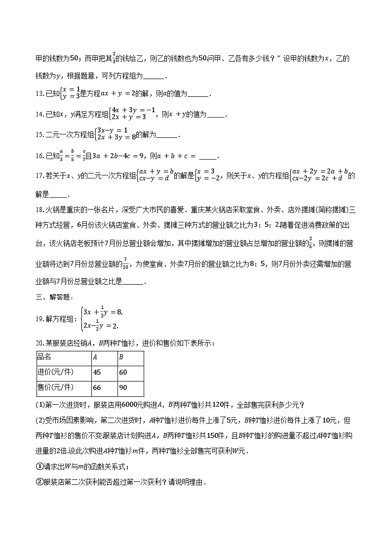 2025年山东中考数学一轮复习课题7:二元一次方程组 练习题(含答案+解析)第3页