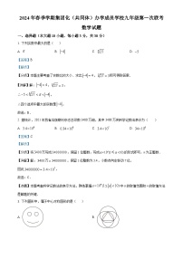 广东省惠州市惠阳区崇雅中学九年级下学期月考数学试题（解析版）-A4