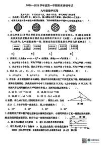 广东省湛江市雷州市2024-2025学年九年级上学期1月期末数学试题