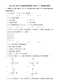 广东省深圳市罗湖区八年级上学期期末数学试卷-A4
