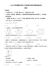 河南南阳市油田2025年秋期七年级上学期期末教学质量检测试卷数学(试卷+解析)