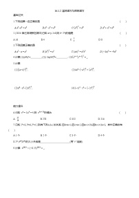 初中数学人教版（2024）八年级上册（2024）16.1.2 幂的乘方与积的乘方课时作业
