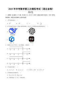 2025年中考数学第三次模拟考试数学(湖北卷)
