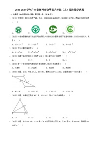 广东省潮州市饶平县2024—2025学年上学期上学期八年级期末数学试卷-A4