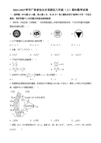 广东省汕头市龙湖区八年级上学期期末考试数学试卷（原卷版）-A4