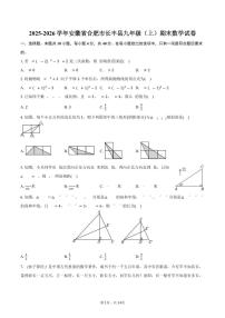 2025-2026学年安徽省合肥市长丰县九年级（上）期末数学试卷（含答案）