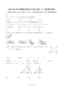 2025-2026学年安徽省合肥市长丰县九年级（上）期末数学试卷（含解析）