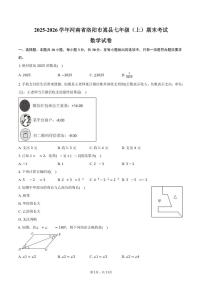2025-2026学年河南省洛阳市嵩县七年级（上）期末数学试卷（含答案）