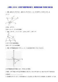 人教版（2024）七年级下册数学期末复习：解答题压轴题 专项练习题汇编（含答案解析）