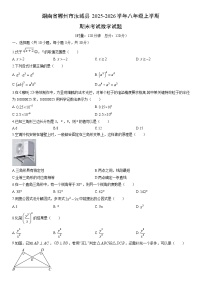 2025-2026学年湖南省郴州市汝城县八年级上学期期末考试数学试卷（学生版）