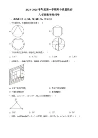 广东省潮州市湘桥区城基初级中学八年级上学期11月期中考试数学试题(原卷版)-A4