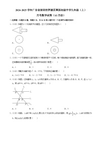 广东省深圳市罗湖区翠园初级中学 九年级上学期月考数学试卷（12月份）-A4