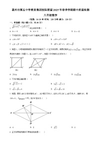 广东省惠州市惠城区第五中学八年级下学期数学期中考试卷（原卷版）-A4