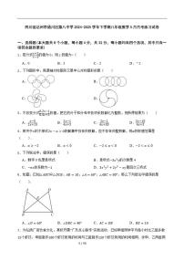 2024-2025学年四川省达州市通川区第八中学下学期八年级数学5月月考练习_(含答案_)试卷