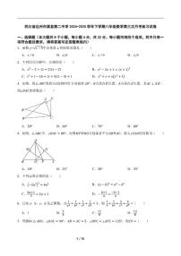 2024-2025学年四川省达州市渠县第二中学下学期八年级数学第三次月考练习_(含答案_)试卷