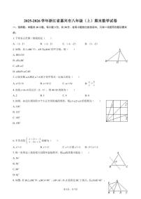 2025-2026学年浙江省嘉兴市八年级(上)期末数学试卷