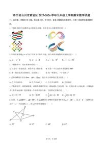 2025-2026学年浙江省台州市黄岩区九年级上学期期末数学试题_(含答案_)