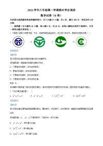 广东省广州市华南师范大学附属中学2022~2023学年八年级上学期期末考试数学试卷（解析版）-A4