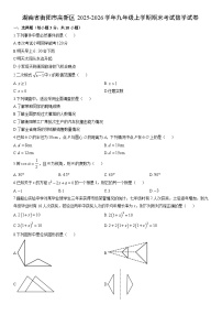 2025-2026学年湖南省衡阳市高新区九年级上学期期末考试数学试卷（学生版）