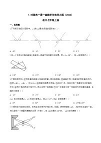初中华东师大版（2024）对顶角综合训练题