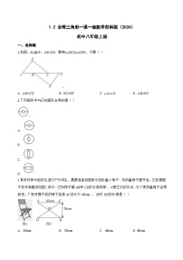 初中数学苏科版（2024）八年级上册（2024）1.2 全等三角形一课一练