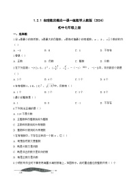 初中数学人教版（2024）七年级上册有理数综合训练题