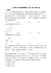 浙教版（2024）八年级上册（2024）1.3 证明巩固练习