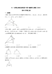 初中数学人教版（2024）八年级上册（2024）第十四章 全等三角形14.1 全等三角形及其性质同步达标检测题