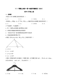 初中数学冀教版（2024）八年级上册（2024）17.1 等腰三角形综合训练题