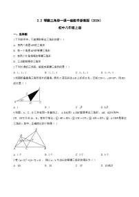 初中数学浙教版(2024)八年级上册(2024)2.2 等腰三角形同步训练题