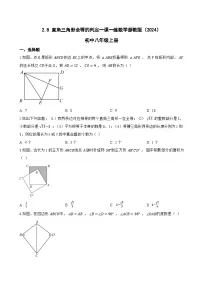 初中数学浙教版(2024)八年级上册(2024)2.8 直角三角形全等的判定练习题
