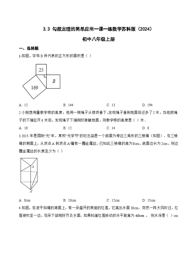 3.3 勾股定理的简单应用一课一练数学苏科版(2024)初中八年级上册(无答案)第1页