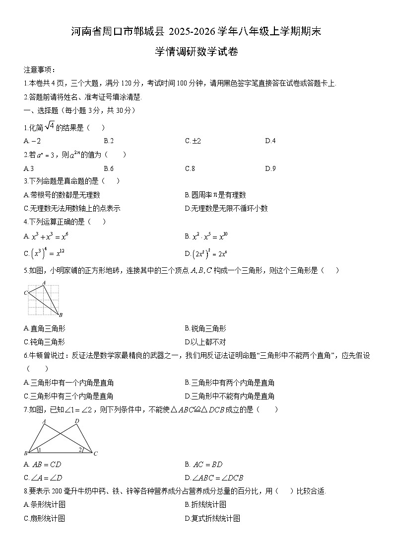 2025-2026学年河南省周口市郸城县八年级上学期期末学情调研 数学试卷(学生版)第1页