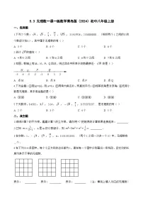 数学5.3 无理数练习题