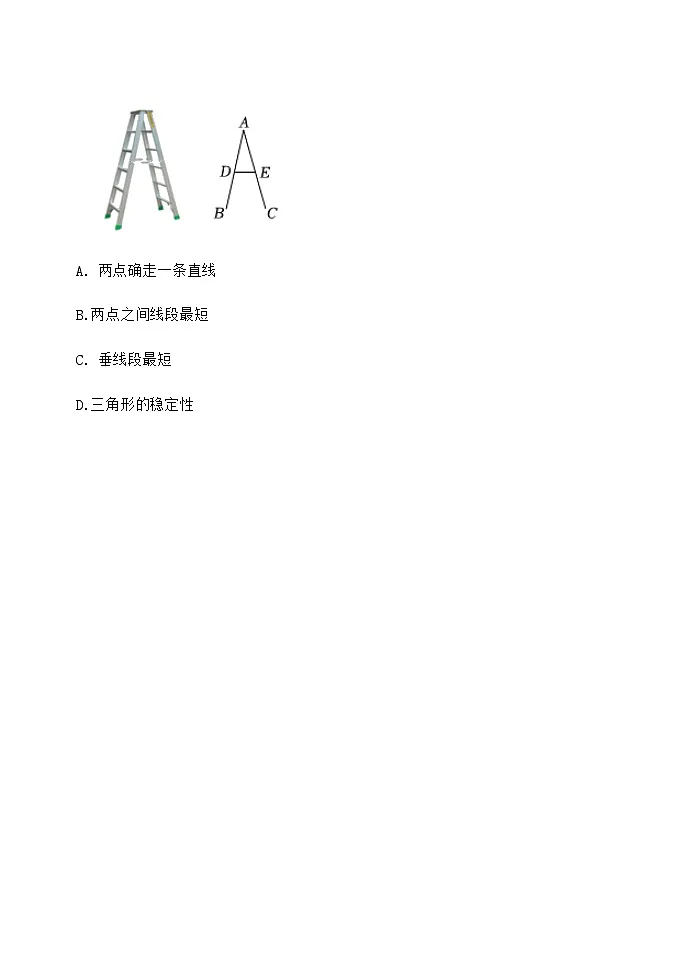 13.2 与三角形有关的线段 同步练习 (含部分答案) 人教版(2024)数学八年级上册第2页