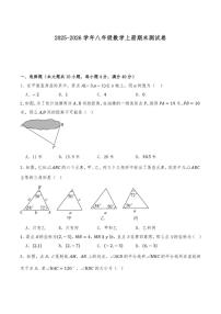 2025-2026学年沪科版八年级数学上册期末测试卷（含答案）