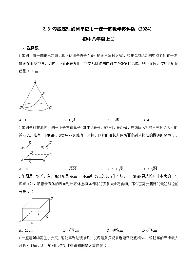 3.3 勾股定理的简单应用一课一练数学苏科版(2024)初中八年级上册(无答案)第1页