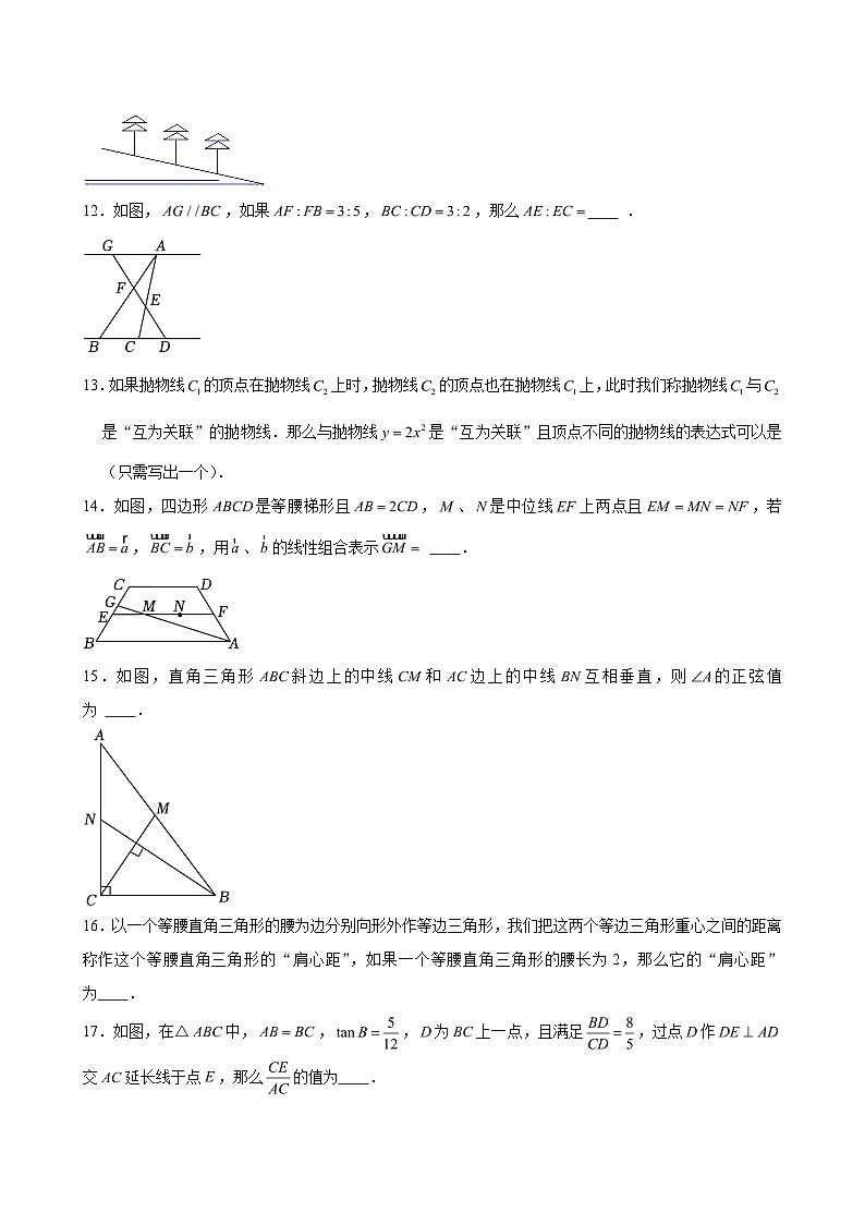 2025-2026学年上海市杨浦区兰生中学九年级(上)月考数学试卷(12月份)(含解析)第3页