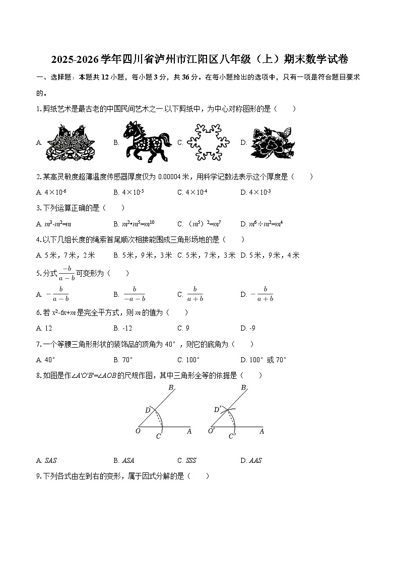 2025-2026学年四川省泸州市江阳区八年级(上)期末数学试卷-自定义类型第1页