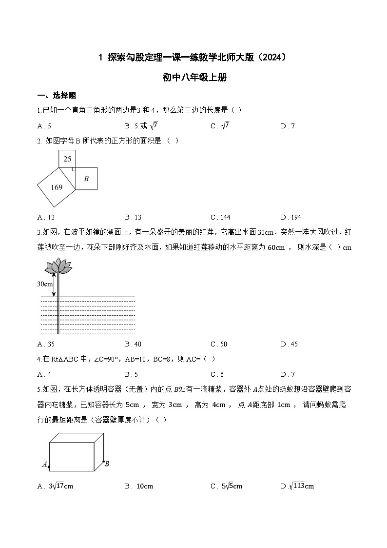 1 探索勾股定理一课一练数学北师大版(2024)初中八年级上册(无答案)第1页