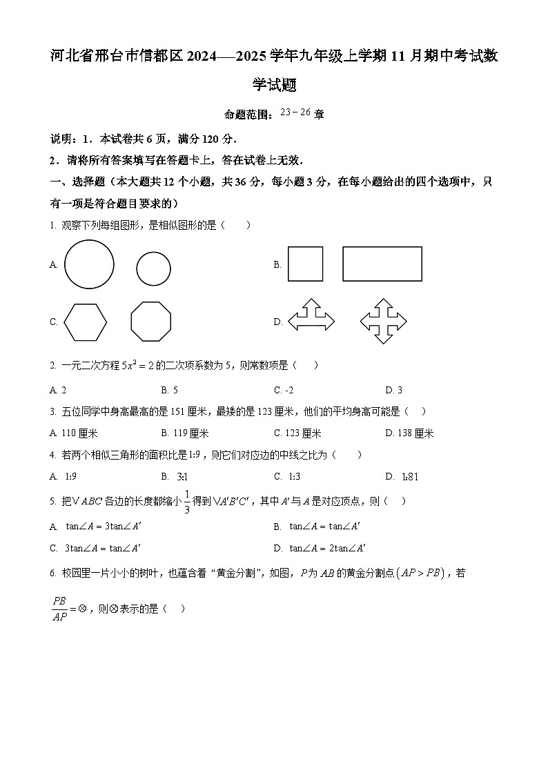 河北省邢台市信都区2024-—2025学年九年级上学期11月期中考试数学试题第1页