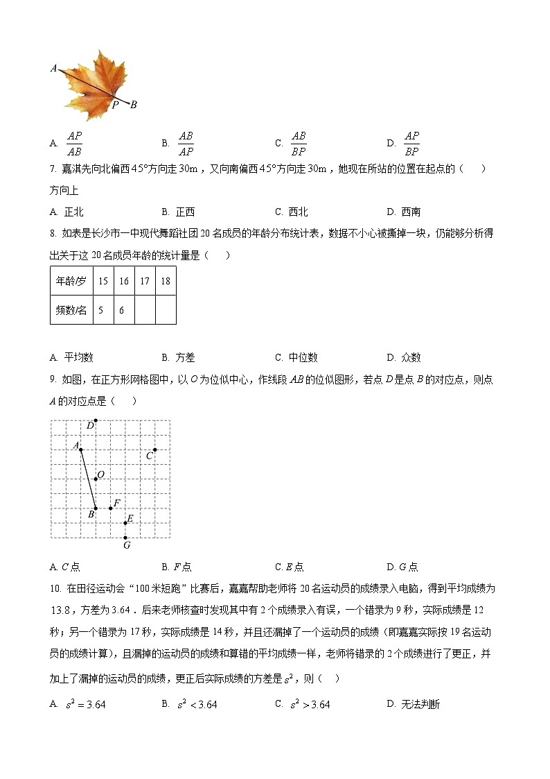 河北省邢台市信都区2024-—2025学年九年级上学期11月期中考试数学试题第2页