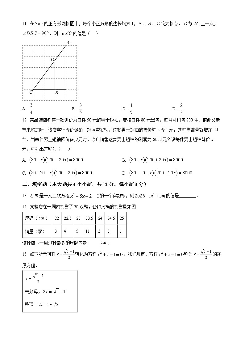 河北省邢台市信都区2024-—2025学年九年级上学期11月期中考试数学试题第3页