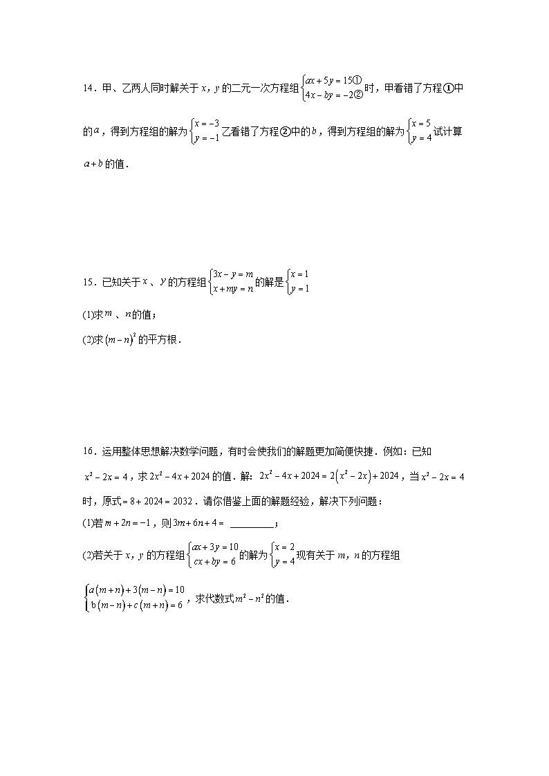 2.2二元一次方程组和它的解课后培优提升训练浙教版2025—2026学年七年级数学下册第3页
