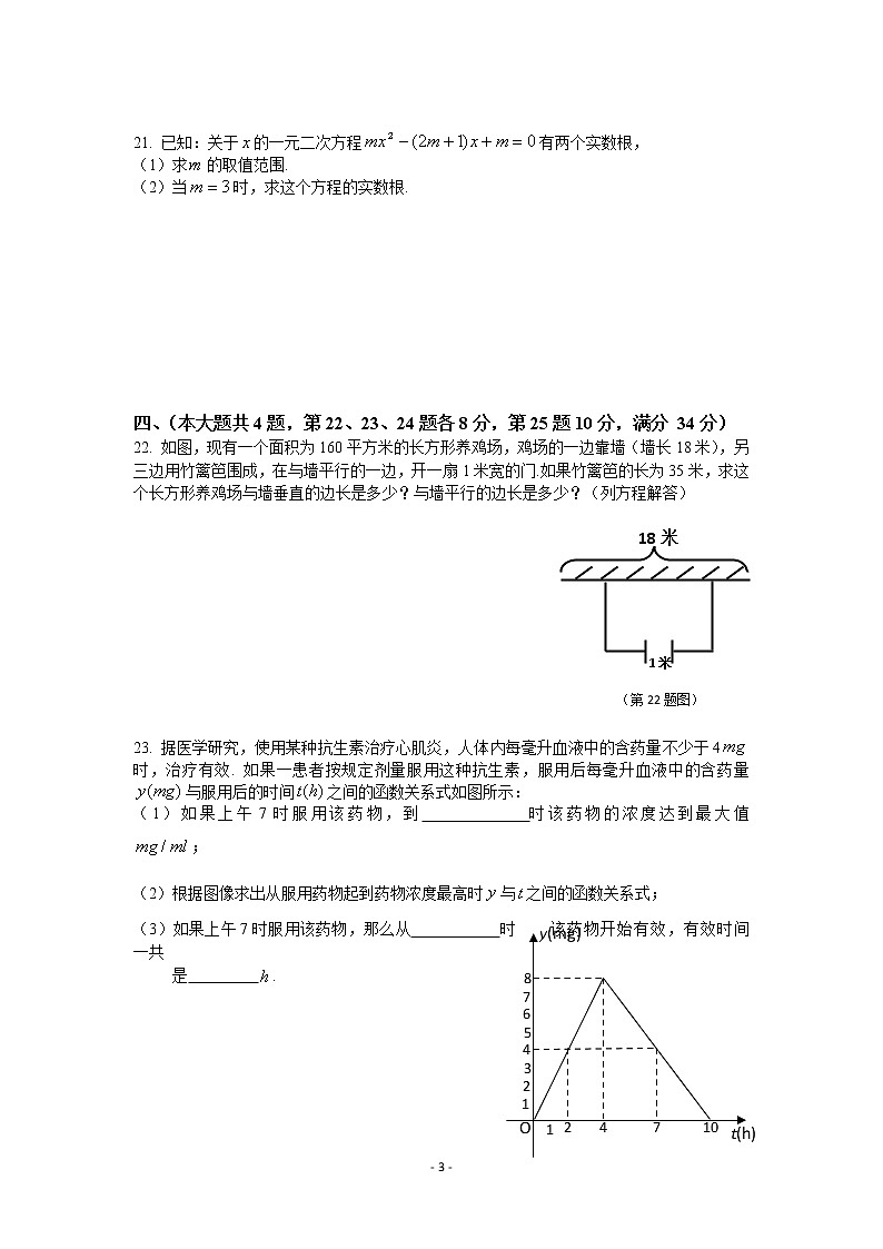 2019学年晋元附校第一学期八年级数学期中复习(四)第3页