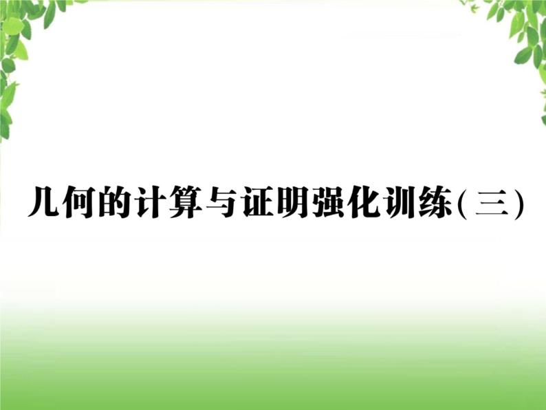 中考数学强化训练：几何的计算与证明（三）01