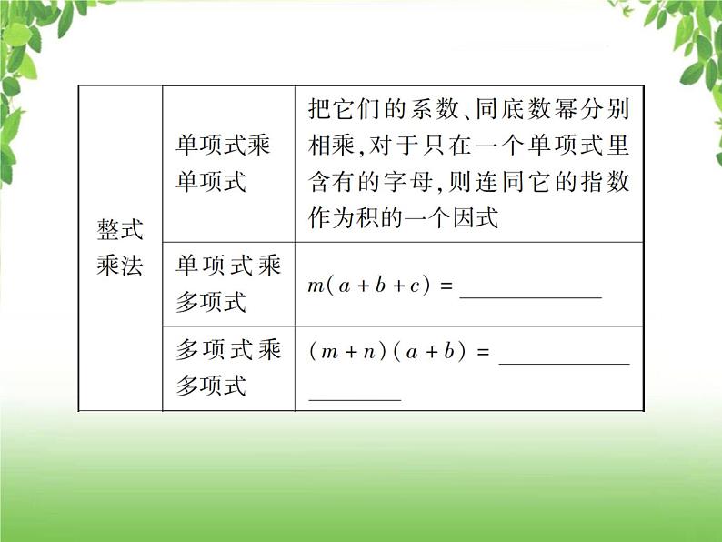 中考数学一轮复习考点梳理课件:1.2 整式与因式分解08