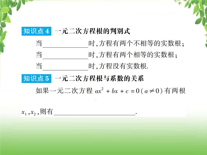 中考数学一轮复习考点梳理课件:2.6 一元二次方程及其应用06